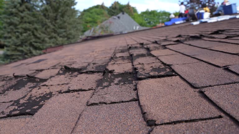 Fast & Reliable Emergency Roof Repairs in Toledo, IA